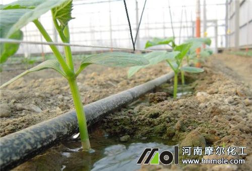 ҇F(xin)r(nng)ИI(y)l(f)չ