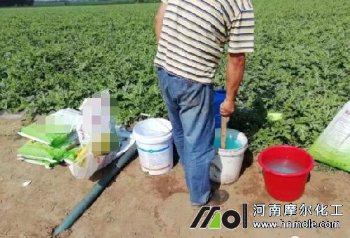 水溶肥肥效時長 水溶肥肥效時長