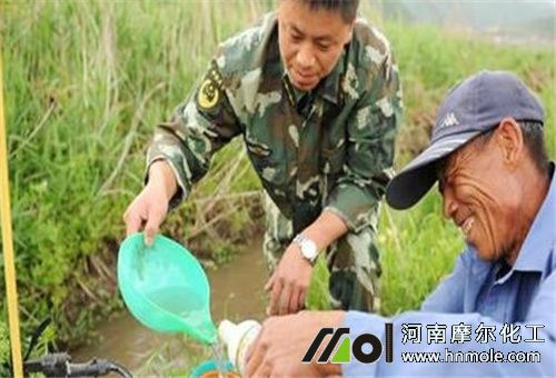 大蒜水溶肥含量及用量 大蒜水溶肥含量及用量