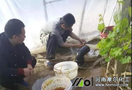 水溶肥施肥后下雨 水溶肥施肥后下雨