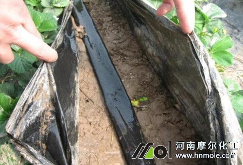 水溶肥渣堵塞滴灌帶 水溶肥渣堵塞滴灌帶