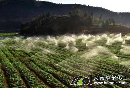 水溶肥撒施雨水沖效果 水溶肥撒施雨水沖效果
