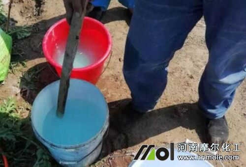 水溶肥撒施雨水沖效果 水溶肥撒施雨水沖效果