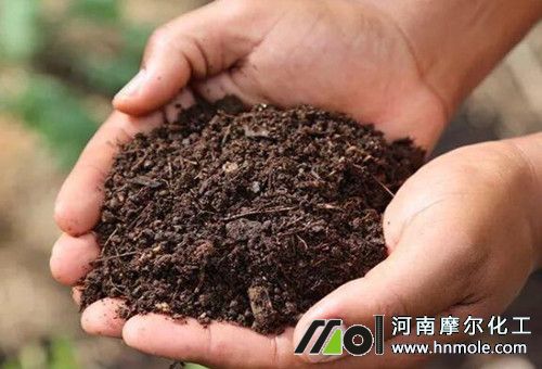 有機(jī)質(zhì) 有機(jī)質(zhì)