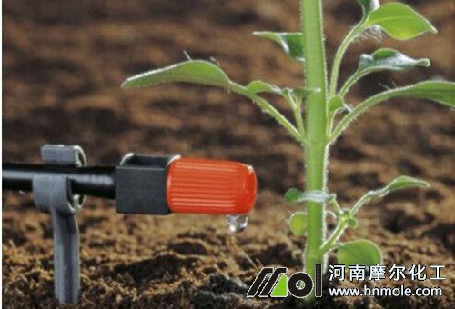 水溶肥用法 水溶肥用法