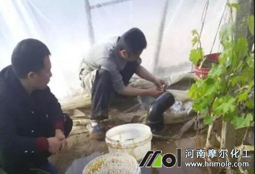 水溶肥用法 水溶肥用法