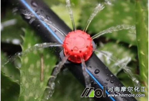 水溶肥用法 水溶肥用法