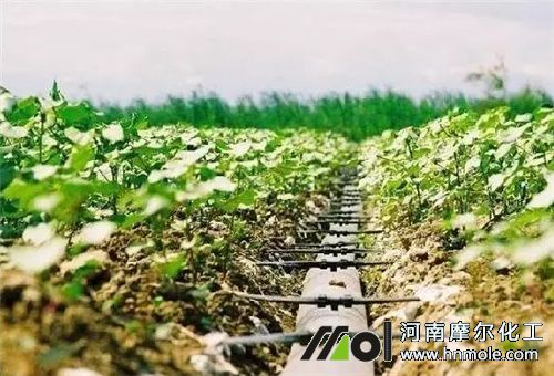 水溶性肥料用法 水溶性肥料用法