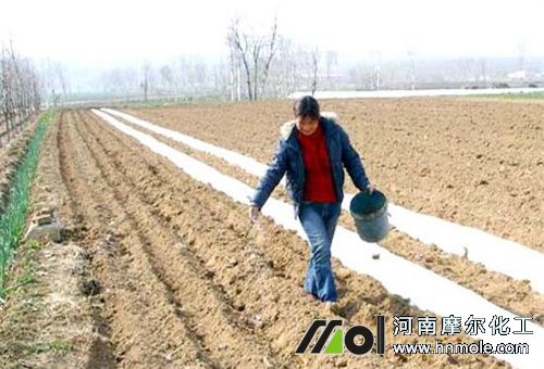 無機肥使用注意 無機肥使用注意