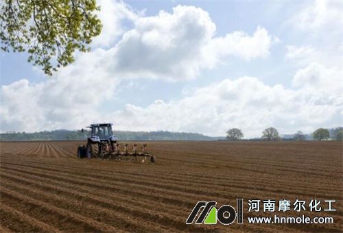 土壤無機肥作用 土壤無機肥作用