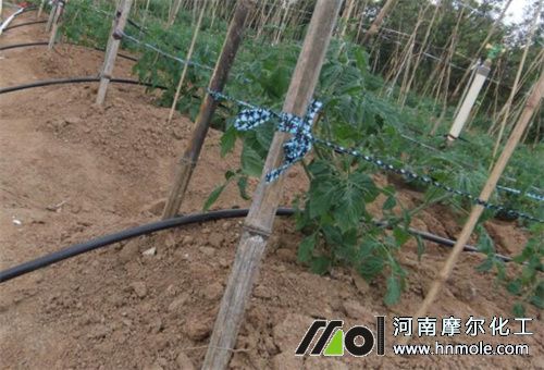 水溶肥料使用注意 水溶肥料使用注意