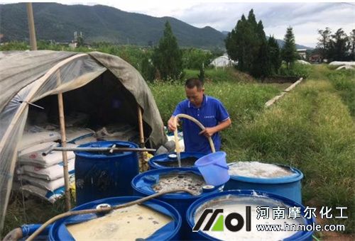 水溶肥使用要求 水溶肥使用要求