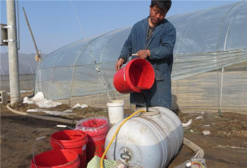 正規水溶肥識別 正規水溶肥識別