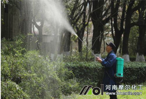 吡蟲啉噴施 吡蟲啉噴施