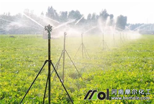 淋水肥和撒肥吸收速率 淋水肥和撒肥吸收速率