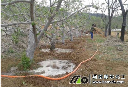 水溶肥沖施用法 水溶肥沖施用法