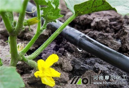 水溶肥滴灌用法 水溶肥滴灌用法