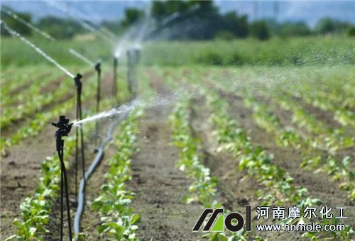 水溶肥噴灌用法 水溶肥噴灌用法