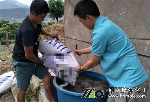 水溶肥溶解 水溶肥溶解