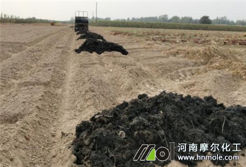 西蘭花施農家肥 西蘭花施農家肥