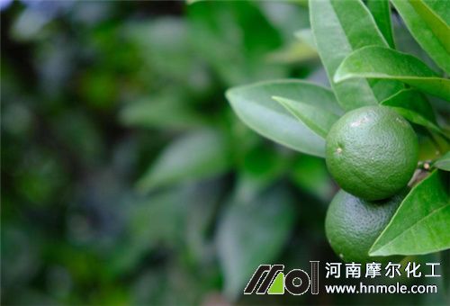 花前期用水溶肥 花前期用水溶肥