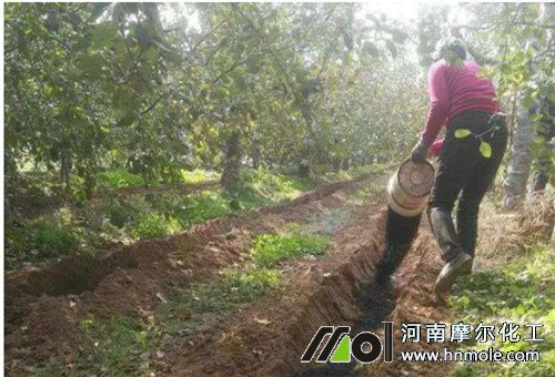 采摘后用水溶肥 采摘后用水溶肥