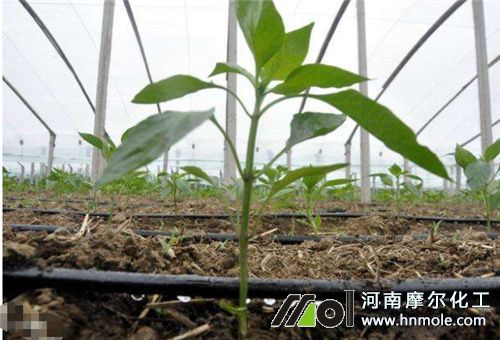 水溶肥滴灌 水溶肥滴灌