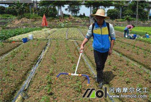 水溶肥使用方法 水溶肥使用方法