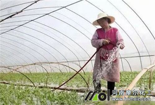 作物施肥注意 作物施肥注意