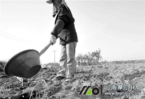 水溶肥沖施濃度 水溶肥沖施濃度