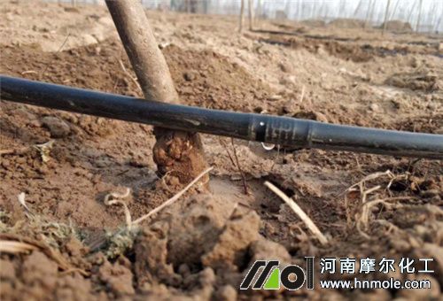 水溶肥沖施濃度 水溶肥沖施濃度