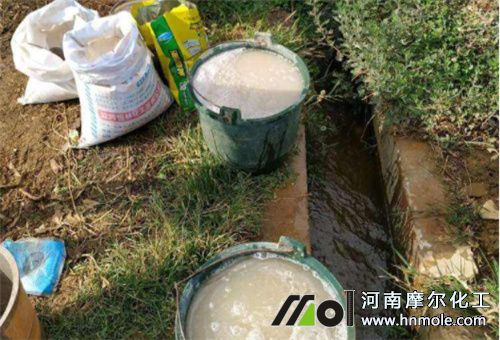 水溶肥正確用法 水溶肥正確用法
