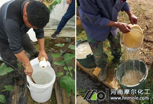 水溶肥規范用法 水溶肥規范用法