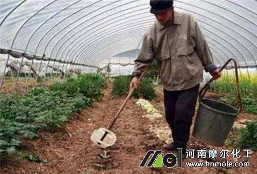 菜地水溶肥吸收長短 菜地水溶肥吸收長短