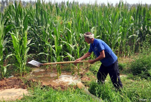 水溶肥用多問題 水溶肥用多問題