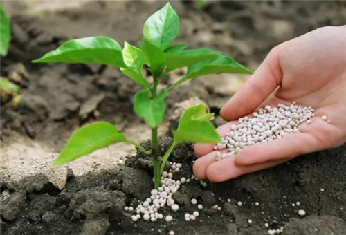 水溶肥用多問題 水溶肥用多問題
