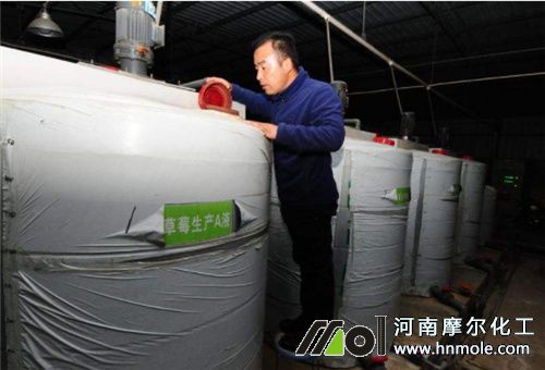 水溶肥正確施用法 水溶肥正確施用法