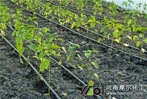 滴灌追肥 滴灌追肥