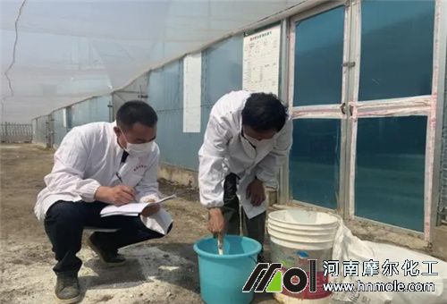 高氮鉀水肥用法 高氮鉀水肥用法