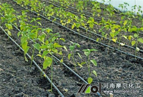 水溶肥替代施肥原因 水溶肥替代施肥原因