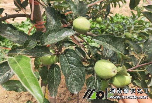 常用調(diào)節(jié)劑種類3 常用調(diào)節(jié)劑種類3