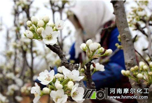 常用調(diào)節(jié)劑種類2 常用調(diào)節(jié)劑種類2