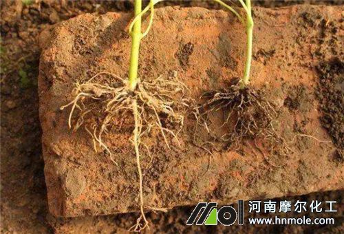 常用調(diào)節(jié)劑種類1 常用調(diào)節(jié)劑種類1