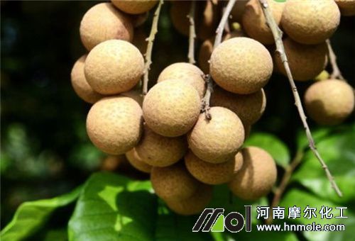 大量元素水溶肥適用作物 大量元素水溶肥適用作物