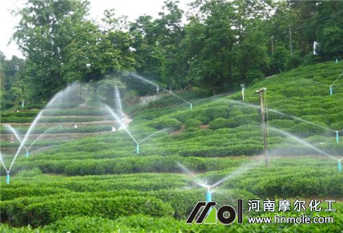 水溶肥噴灌 水溶肥噴灌