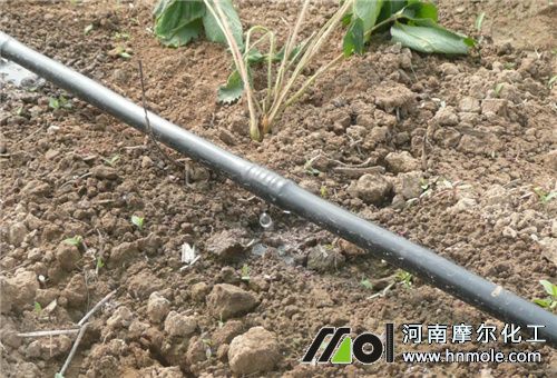 水溶肥滴灌 水溶肥滴灌