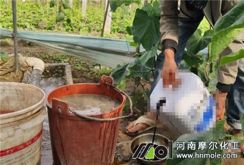 水溶肥沖施 水溶肥沖施