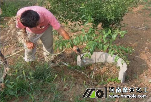 水溶肥使用禁忌 水溶肥使用禁忌