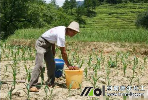 水溶肥使用禁忌 水溶肥使用禁忌