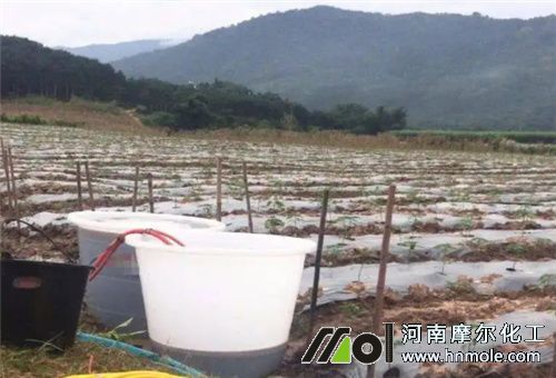 大量元素水溶肥用量 大量元素水溶肥用量